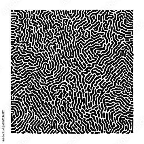 Black and white abstract pattern featuring dense organic shapes filling the entire canvas area space