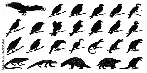 A collection of black silhouettes featuring various birds lizards tortoises and an eagle in flight for wildlife design