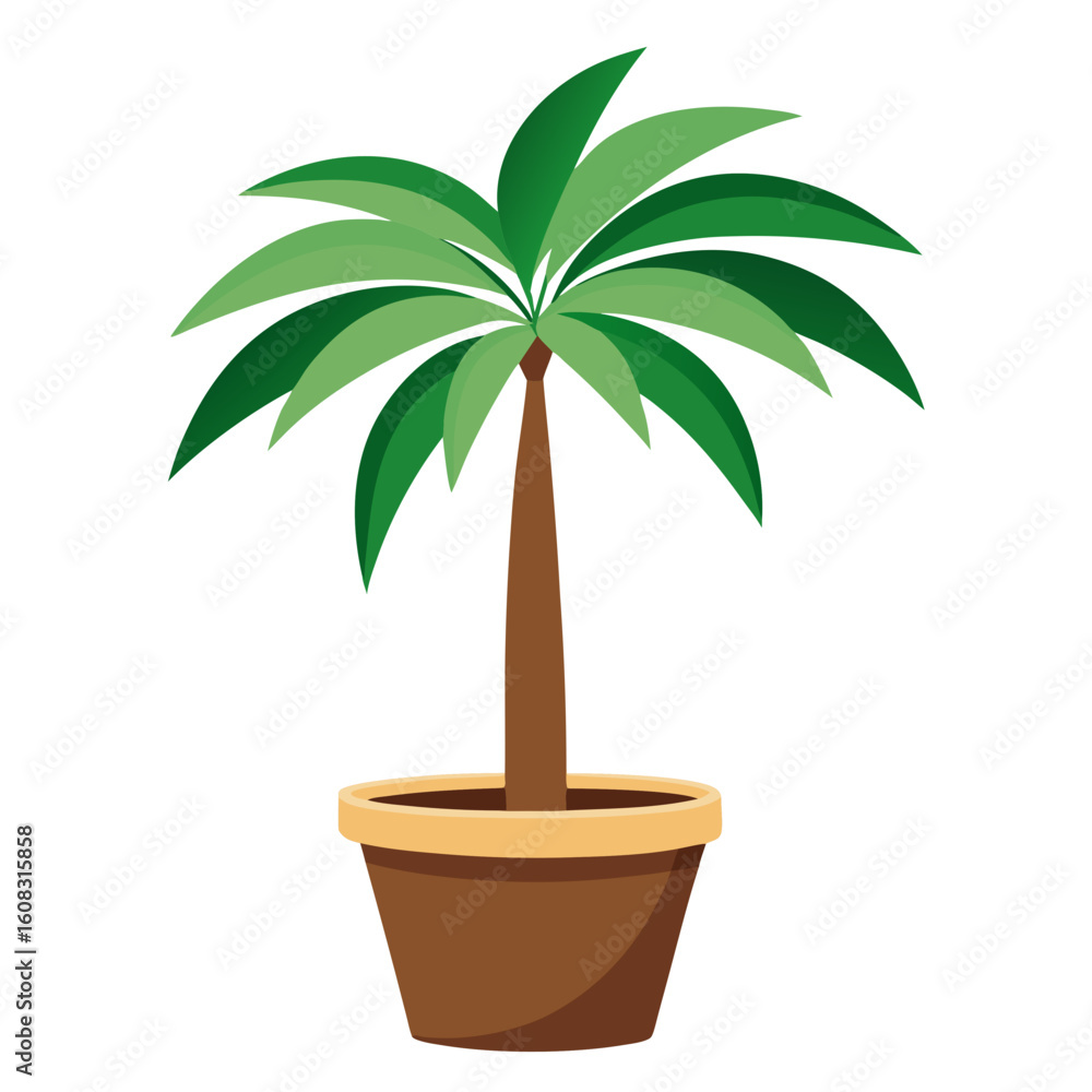 Obraz premium palm tree in a pot