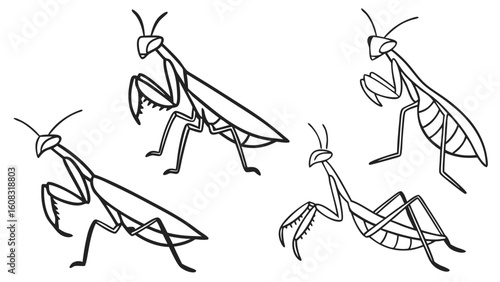 Praying Mantis Line Art Collection: Four Stylized Black and White Insect Illustrations in Various Poses, Ideal for Educational Materials and Creati...