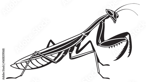 Stylized Black and White Praying Mantis Vector Illustration on Clean White Background, Detailed Insect Drawing for Nature and Wildlife Designs