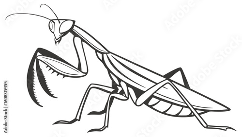 Elegant Praying Mantis Line Art Illustration for Nature and Wildlife Designs