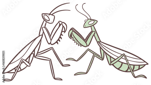 Stylized Green and Outline Praying Mantises Facing Each Other in Cartoon Vector Illustration on White Background