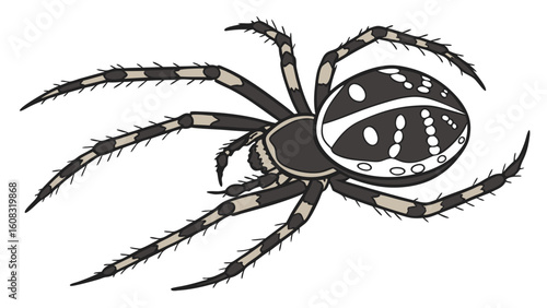 Stylized Black and White Spider Illustration with Striped Legs and Ornate Abdomen Pattern