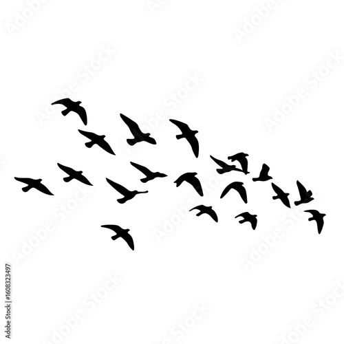 Large black bird flock soaring freely. 
