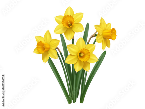 Wallpaper Mural A beautiful cluster of four bright yellow daffodils with green stems isolated on transparent background Torontodigital.ca