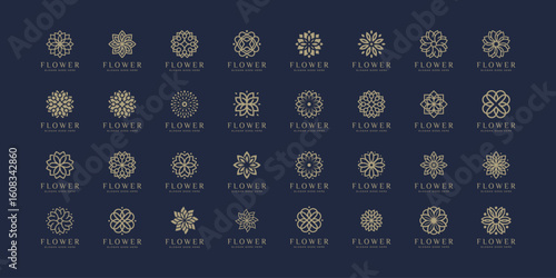 Set of Flower luxury logo design nature