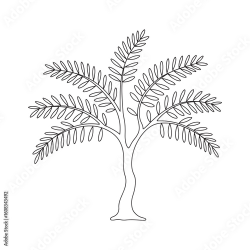 Stylized Tamarisk Tree Illustration Simple and Elegant Line Art Depiction of a Desert Plant for Botanical Designs