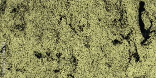 Textured abstract background of olive green and black shapes suggesting rock or stone surface