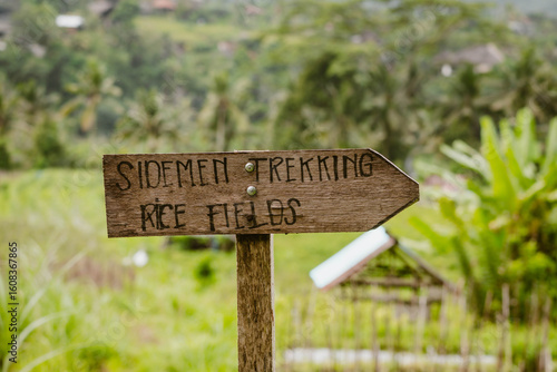 A wooden sign in the shape of an arrow that points the way to the Sidemen Tracking outdoor at daytime in the green ricefields in Bali in Indonesia.