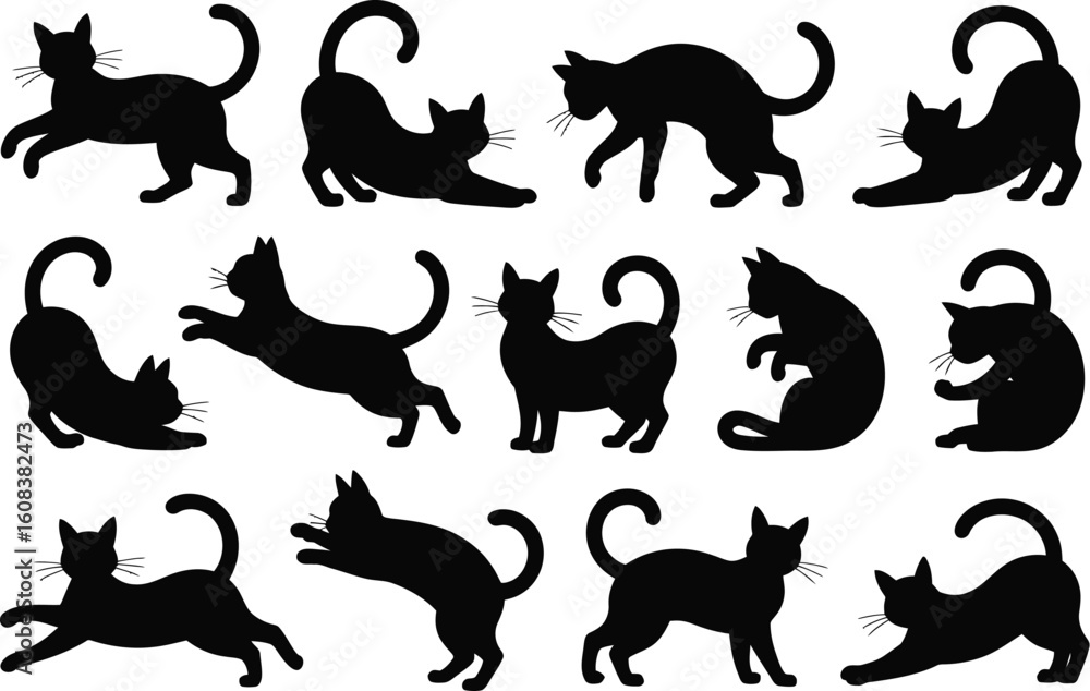 Obraz premium Black cats in various poses silhouettes animals