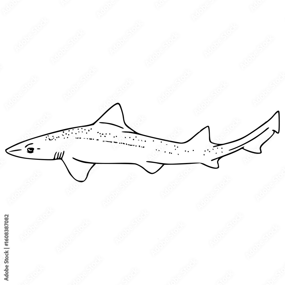 Obraz premium rig shark outline drawing