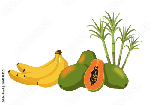 A bunch of bananas three papayas and four stalks of sugarcane