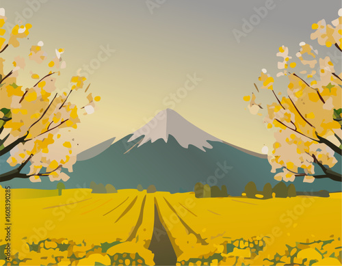菜の花の咲く風景