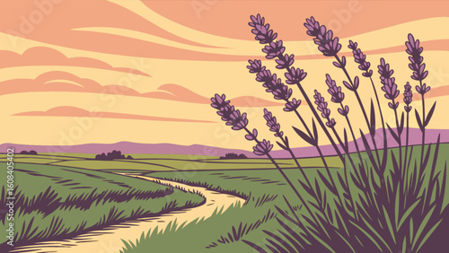 Illustration of a lavender field with a path leading to the horizon under a pastel colored sky