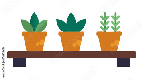 Potted plants on shelf vector illustration for home decor and gardening design projects and clip art images