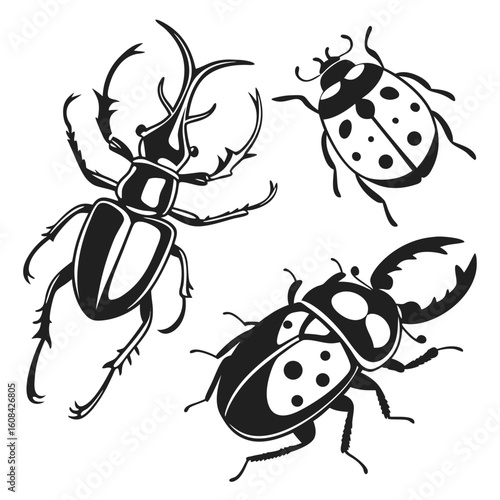 Collection of beetle silhouettes and scarab designs isolated on white background