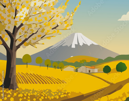 菜ノ花と風景