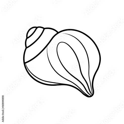 the shell is iridescent 