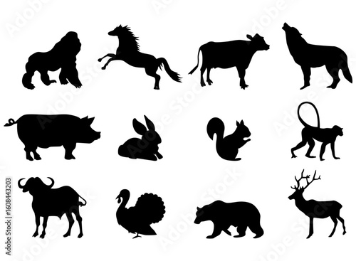 Photography Wildlife fauna zoo animals safari Africa mammals silhouette collection hand draw