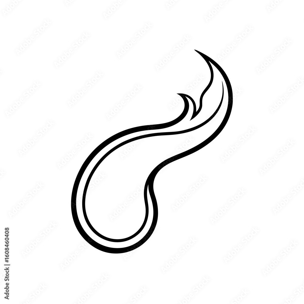 Obraz premium ash curl