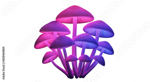 Luminous fantasy mushrooms with pink and purple neon glow isolated PNG with Transparent Background
