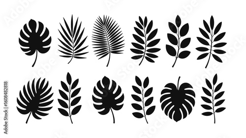 Tropical Leaf Silhouette Icons Set. Monstera, Palm, Fern, Botanical, Jungle, Nature Vector Ar