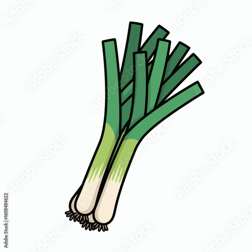 Leeks graphic stalks roots and green tops bundled crisp and outlined