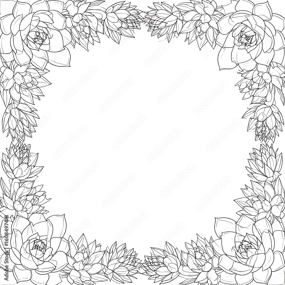 Obraz premium Square succulent frame (1)