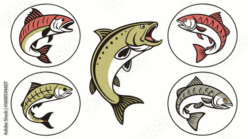 Vector Illustration Set of Various Fish Species Salmon Trout for Fishing Seafood and Aquatic Design