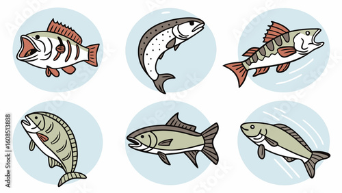 Collection of freshwater fish illustrations. Different types of river and lake fish icons for fishing and nature designs.