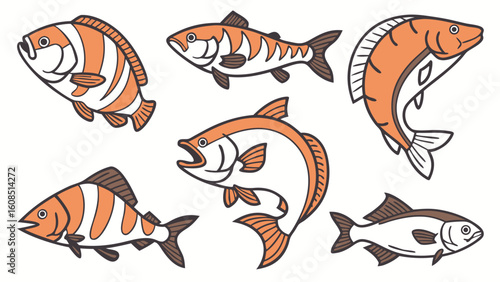 Set of various fish illustrations. Collection of different aquatic animals for seafood, fishing, and healthy food concepts. Vector graphic.