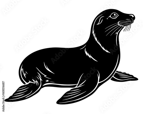 Black silhouette of a seal with flippers outstretched on a white background