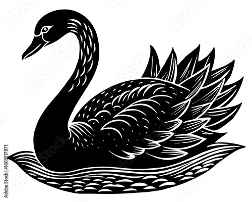 Elegant black swan illustration in a stylized water design