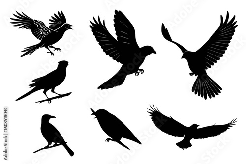 Collection of silhouetted birds in various poses and flight