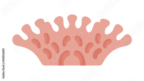 Illustration of pink coral reef structure with organic shapes and textures for marine biology projects