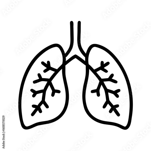 An anatomical representation of the lungs, rendered in a clean, minimalistic style, showcases the intricate structure of the respiratory system.