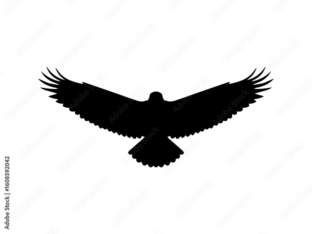 Fototapeta premium Front view flying eagle silhouette vector flat illustration design.