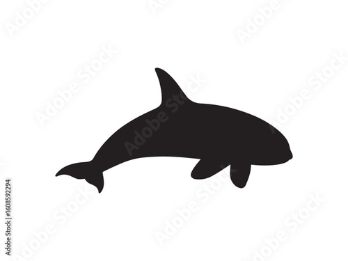 Orca whale silhouette vector flat illustration design. 