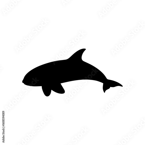 Killer whale silhouette vector flat illustration design.