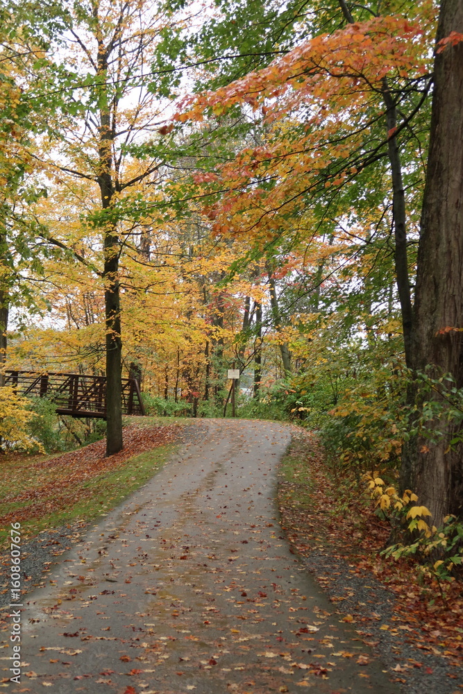 Fototapeta premium Pathway through forest with colorful autumn leaves and a small footbridge
