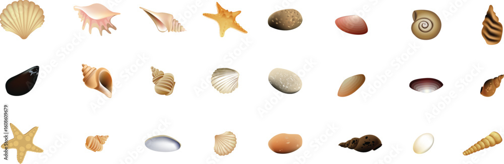 Obraz premium set of wheat. Shells vector bundle set and Icons design vector set.