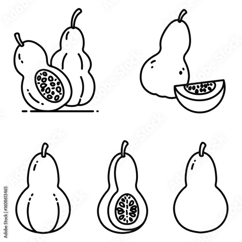 Outline illustrations of fresh calabash gourds in various shapes and styles for design projects