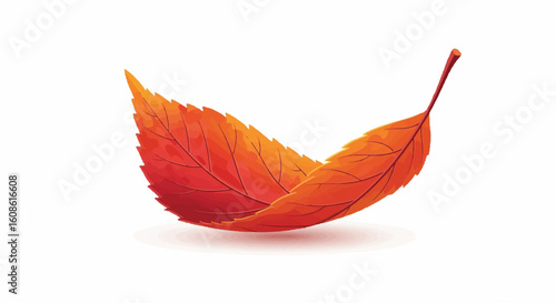 Vibrant Autumn Leaf Vector on White Background, Curled Orange and Red Foliage for Fall Season Designs, Autumnal Equinox Asset