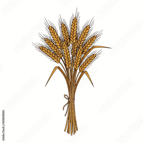 Golden wheat sheaf illustration, ripe agricultural crop for harvest season, autumn grain bundle