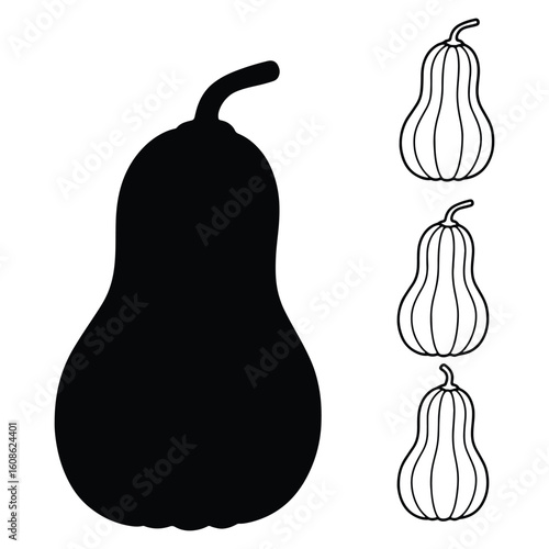 Vector illustration of a black butternut squash silhouette and outlined squash variants