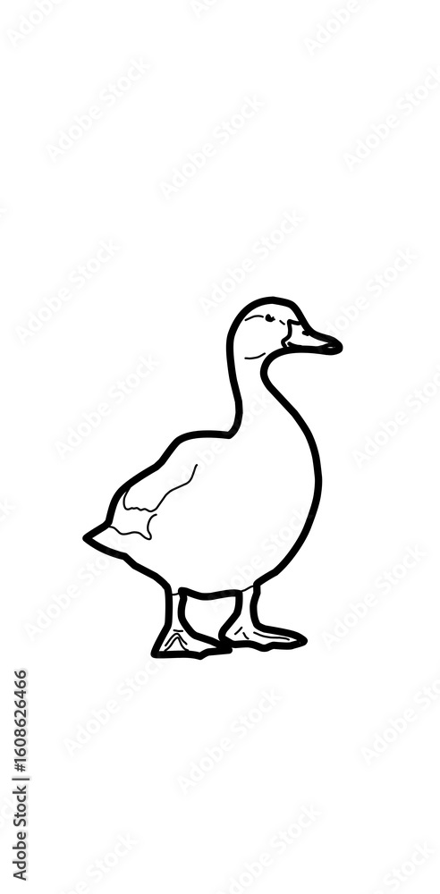 duck on a branch illustration duck on a branch illustration