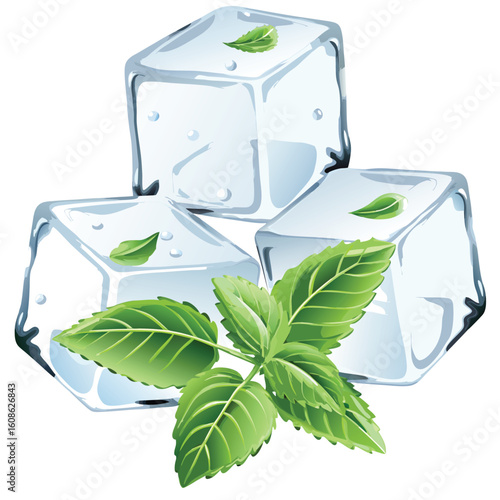 ice cubes vector with green mint leaves 
