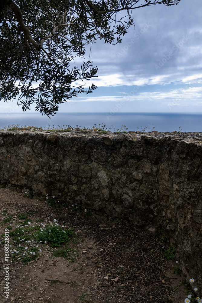 Fototapeta premium Scenic coastal view from a historical stone wall under an olive tree near the sea in a tranquil setting during overcast weather