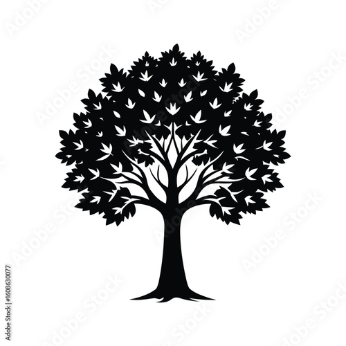 Sycamore Tree Silhouette Vector Illustration on White Background